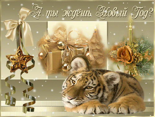http_af8_mail_ru_cgi-bin_readmsg_tigrp_nok_gif_id=12614165020000000072.gif
