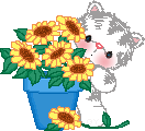 54_0.gif