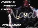 m_123402881.jpg