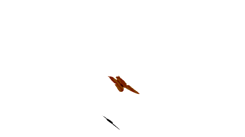 a853ca4c9ed3.gif