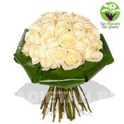 mass_of_white_roses.jpg