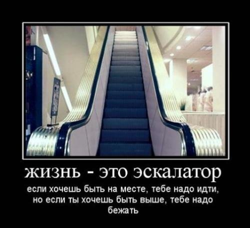 x_6de88304_0.jpg
