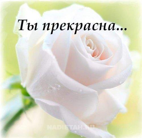 0a699f5bda7c.jpg