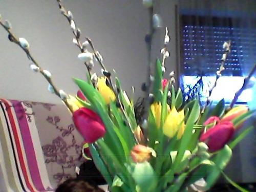 Snapshot_20110314_1.jpg