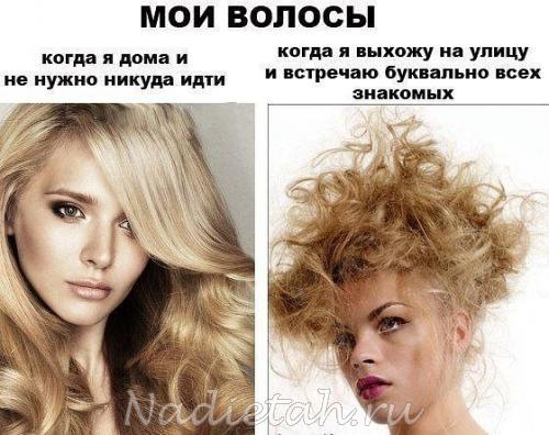 getimagecaanzozn_0.jpg