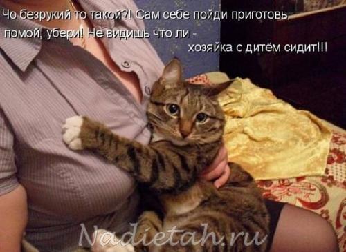 getimagecatbi44w.jpg
