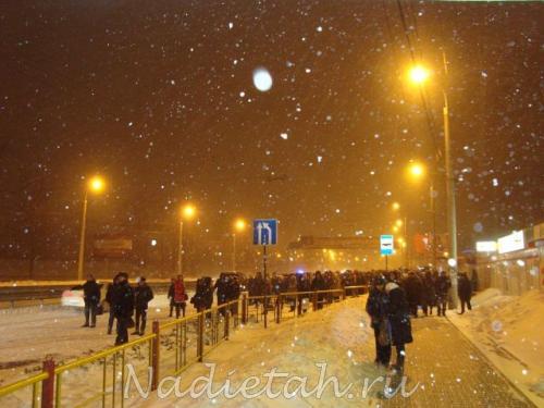 image_4.jpg