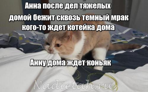 lol1480681356.jpg