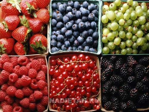 5063_4a55c1f68f7ff.jpg