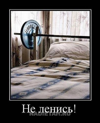 x_64496fcf.jpg