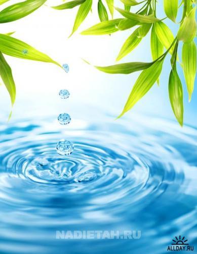 1246563968_water-1.jpg