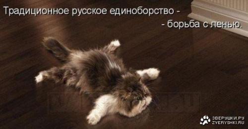090c03a1459792b95059a8a305d8610f.jpg
