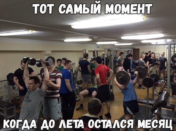 motivashka.jpg