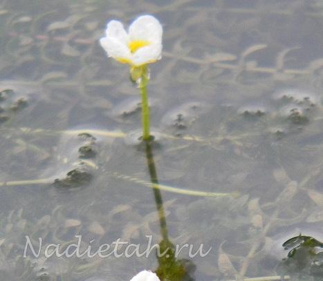 dscn3144.jpg