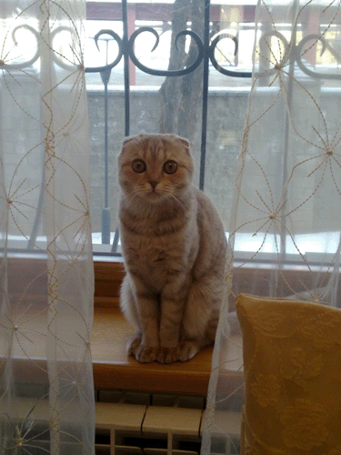 01022011199.gif