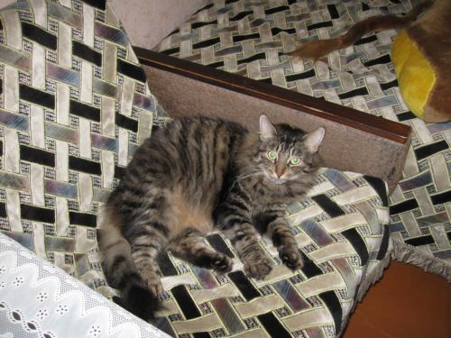 IMG4051_0.JPG