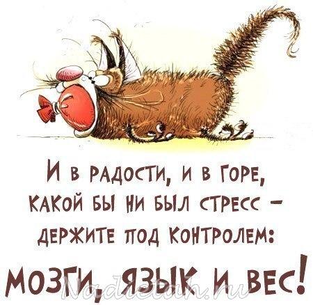 mozgi.jpg