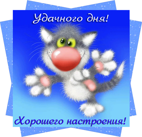 14.gif