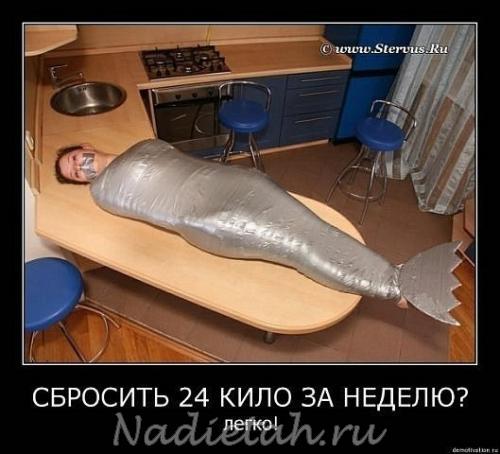 ylzua-wkcdg.jpg