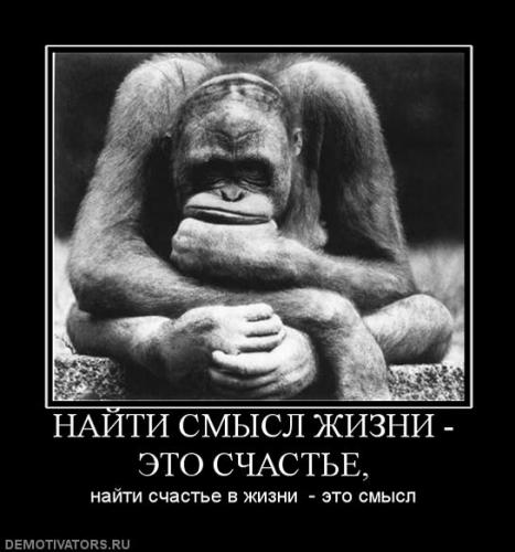 936242_najti-smyisl-zhizni-eto-schaste.jpg