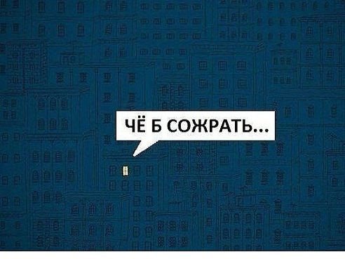 image_8.jpg