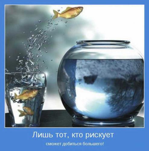 1278515933_25.jpg