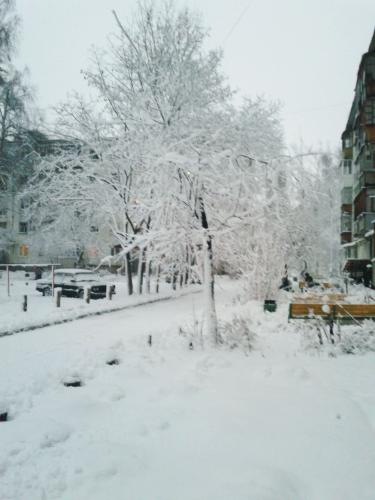 20131202_163524.jpg