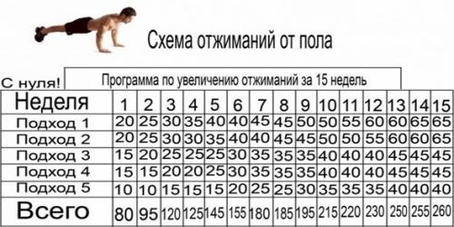 x_441c3f07.jpg