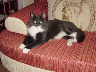 kopiya_pb130007_0.jpg