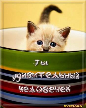 1245430795izmenenie_razmera_kompliment_astre.jpg