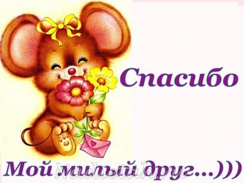 80235006_spasibo_0.jpg
