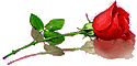 e39450899e0f2c8023ea26ab83e884cd[1].gif