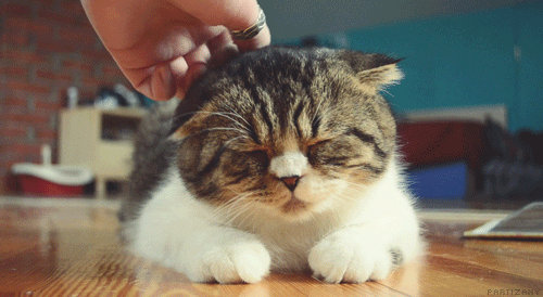 1362315462_-www.votrube.ru1_.gif