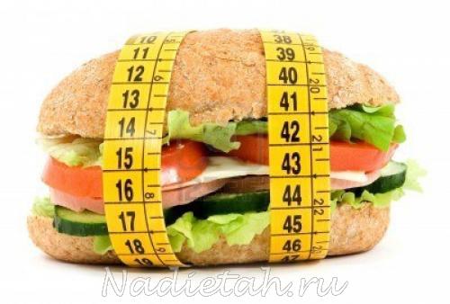 2819655-diet-sandwich-and-meter-studio-isolated.jpg