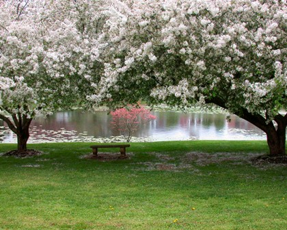 spring_00061.jpg