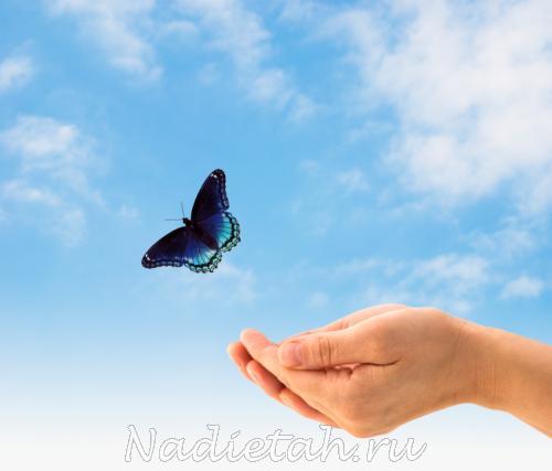 1311038413_freedom-butterfly1.jpg