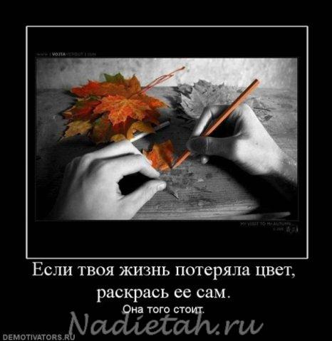 x_c9a43763_0.jpg