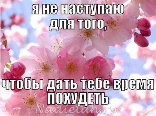 0j_5lyh4fuw.jpg