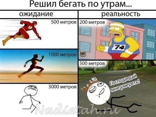 d6pubk4cvcu.jpg