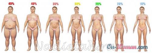 body-fat-percentage-women.jpg
