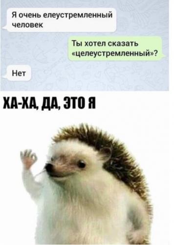 ti1i7qtldfm.jpg