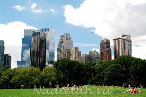 new_york_manhattan_summer_in_the_city_central_park.jpg
