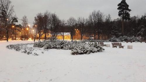 image_13.jpeg