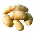 kartoshka.jpg