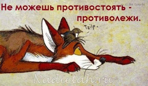 protivolezhi.jpg