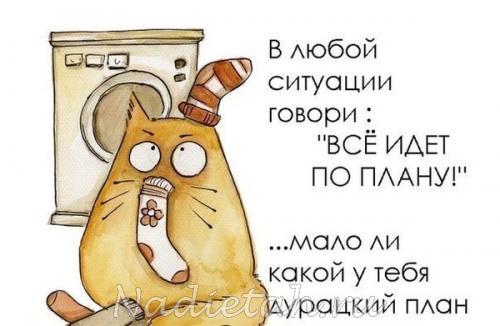 dobroe_utro.jpg