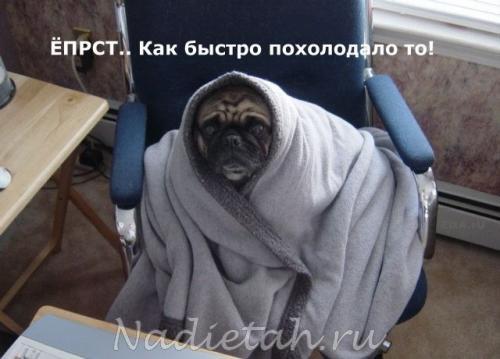 brr_0.jpg