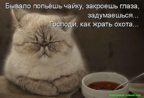 2692052349cd994381.jpeg