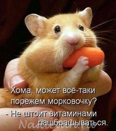 5te3uz4pnaw.jpg