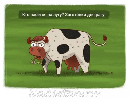 ycezmdtb7_a.jpg